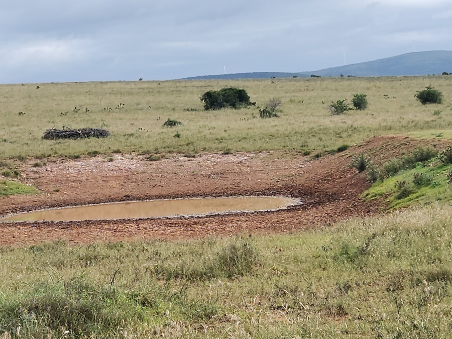 Commercial Property for Sale in Somerset East Rural Eastern Cape
